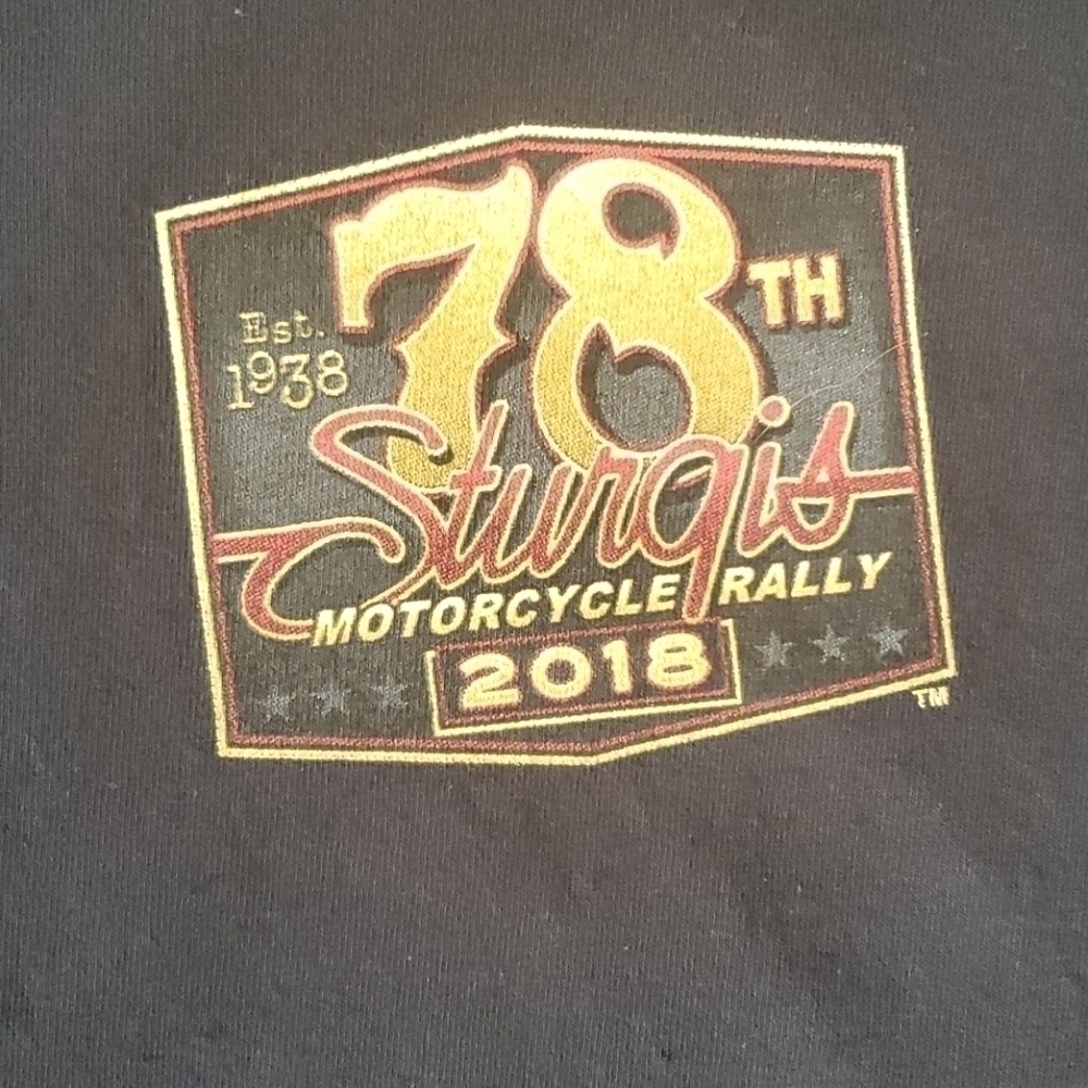 2018 Sturgis Black Hills Rally Tshirt Sz Lrg - Picture 4 of 5